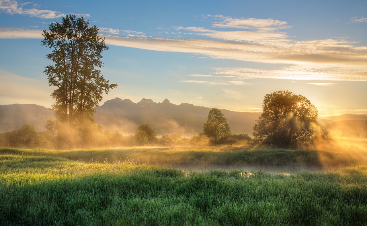 10 Tips for Reducing Your Travel Carbon Footprint
